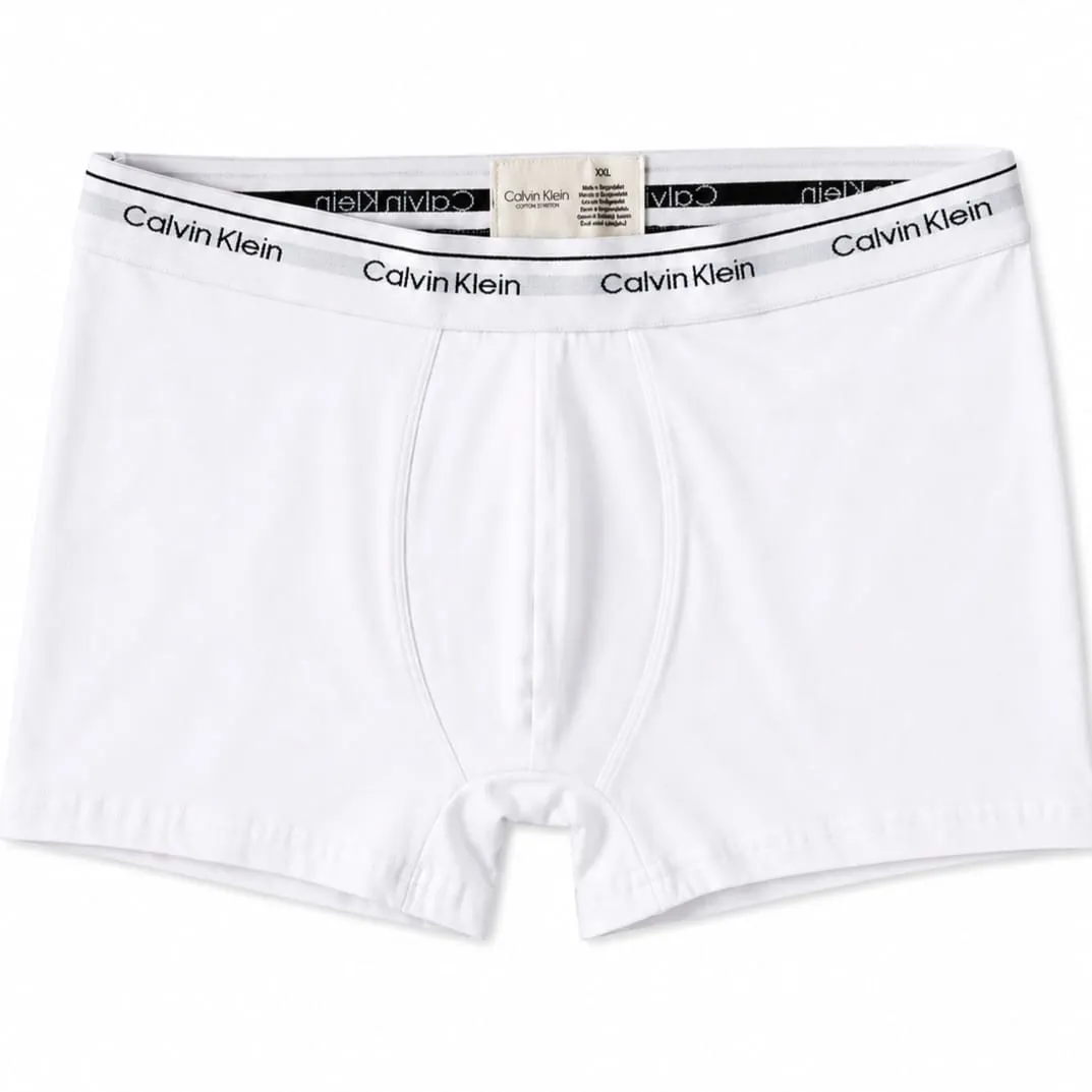 boxer 2